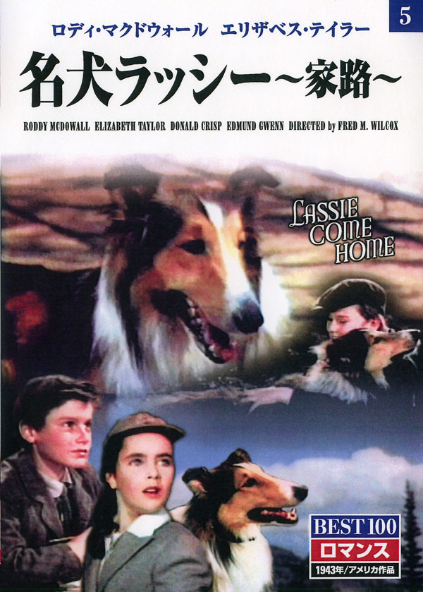名犬ラッシー DVD