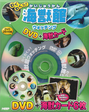 海獣館（かいじゅうかん）ウォッチング(DVD+海獣カード)