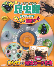 昆虫館（こんちゅうかん）ウォッチング！(DVD+昆虫カード)